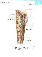 Sobotta  Atlas of Human Anatomy  Trunk, Viscera,Lower Limb Volume2 2006, page 360
